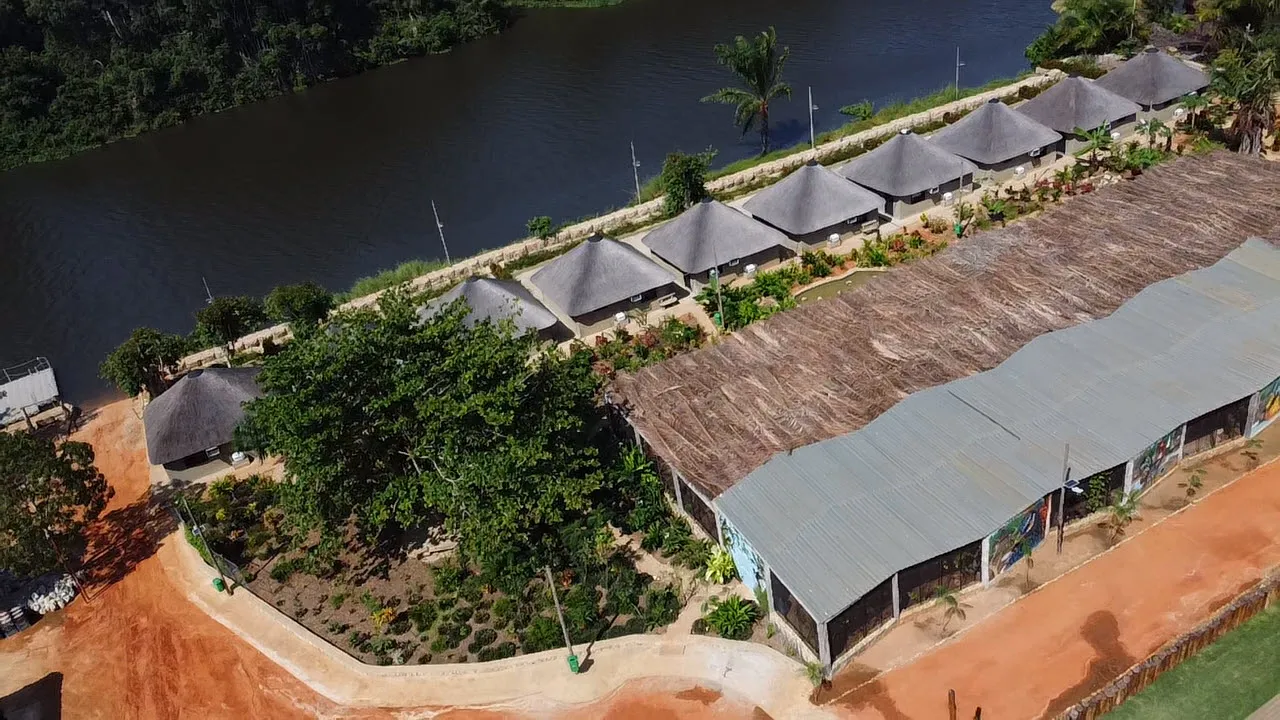 Aerial view of the dining pavilion roof and garden pathways through the palm grove